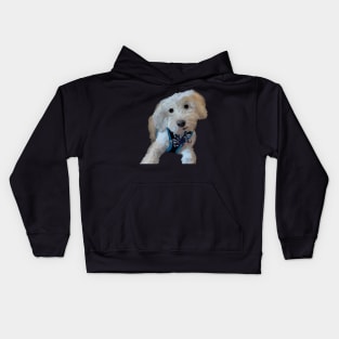 Cooper the Maltipoo Kids Hoodie